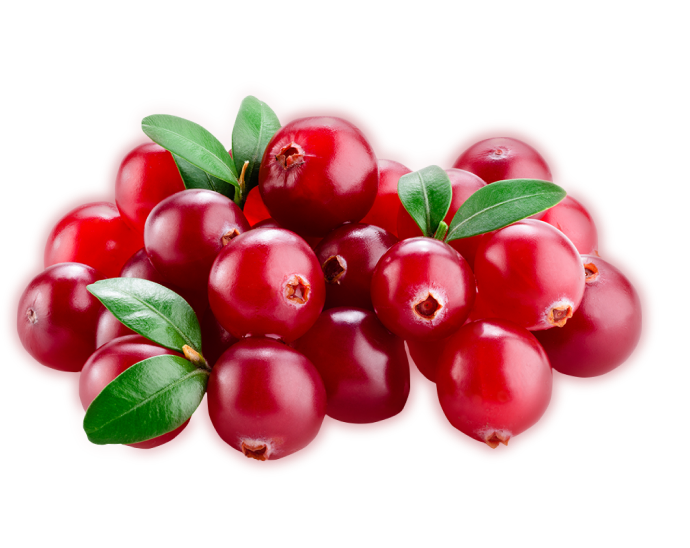 Ягоды Брусника